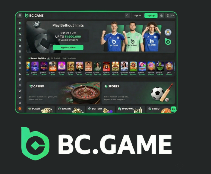 Exploring BC.Game Crypto Casino A New Era of Online Gaming